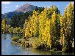 Nowa Zelandia, Góry, Drzewa, Jezioro, Wanaka